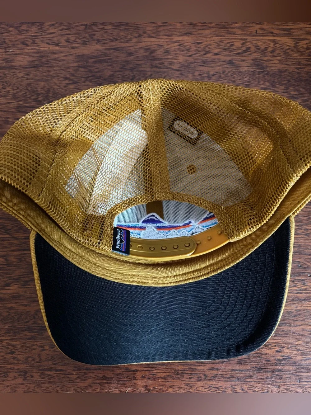 Patagonia Fitz Roy Trout Trucker Hat